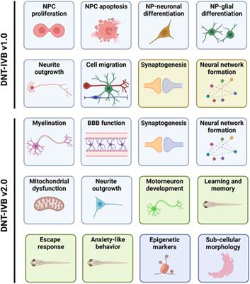 New approach methods to assess developmental and adult neurotoxicity for regulatory use: a PARC work package 5 project